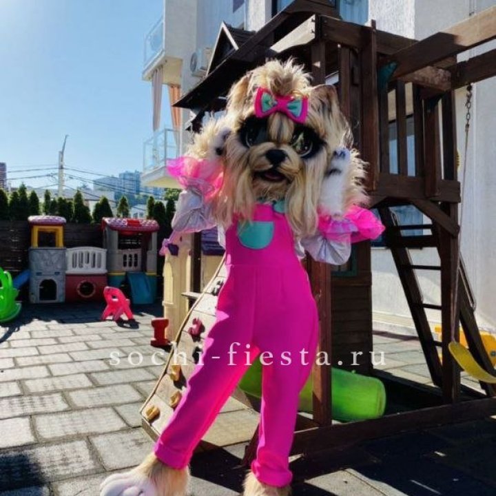 Аниматор Гламурная Собака в Новороссийске