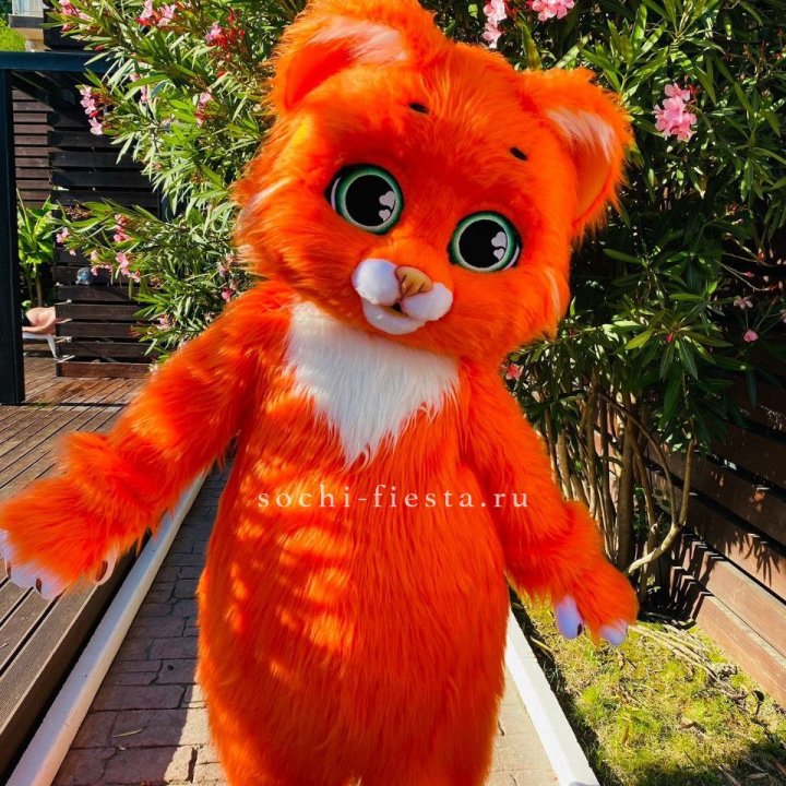 Аниматор Котик в Новороссийске