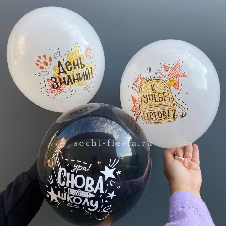 Воздушный шар к 1 сентября в Новороссийске
