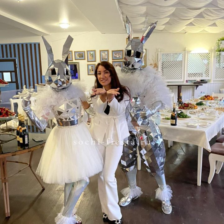 Аниматор Зеркальный заяц в Новороссийске