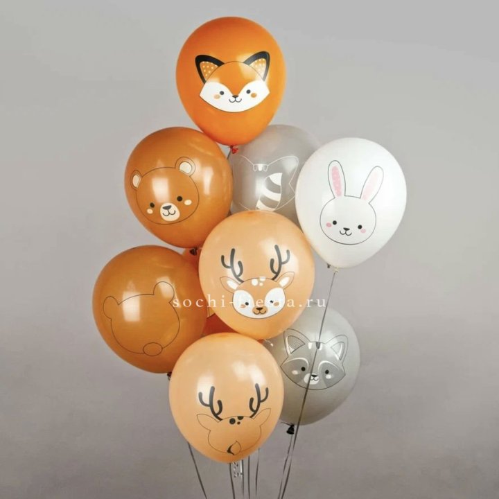Воздушный шар "Животные" в Новороссийске