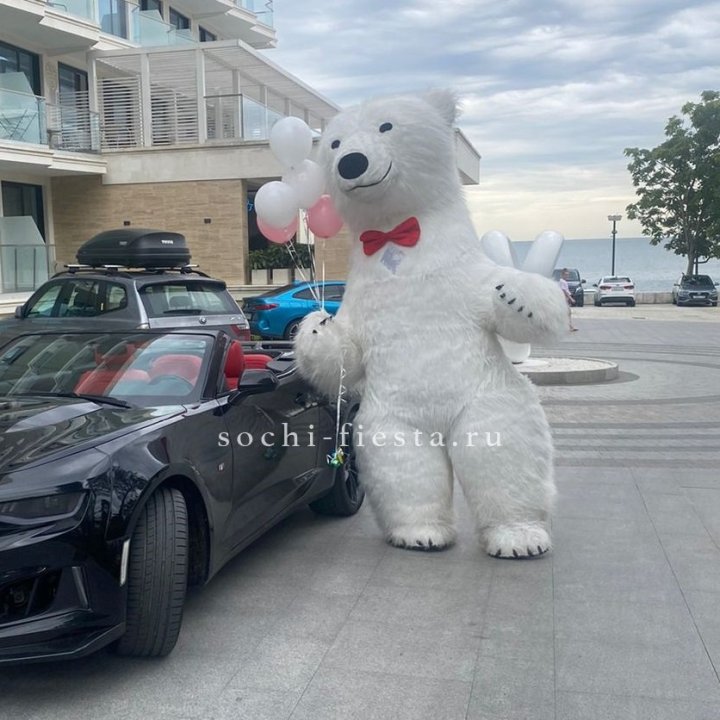 Аниматор Белый Медведь в Новороссийске