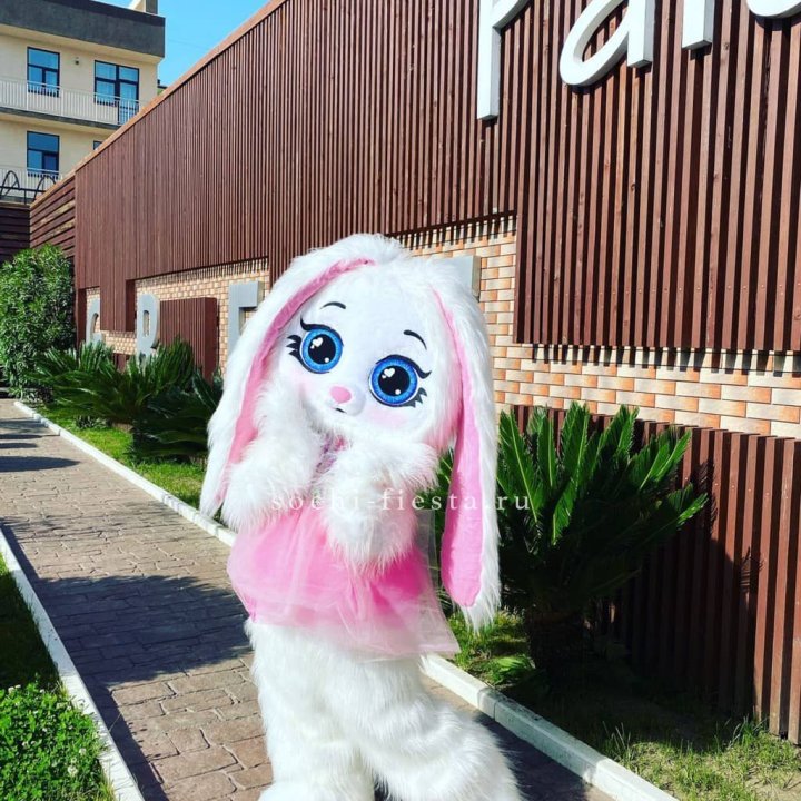 Аниматор Зайка в Новороссийске