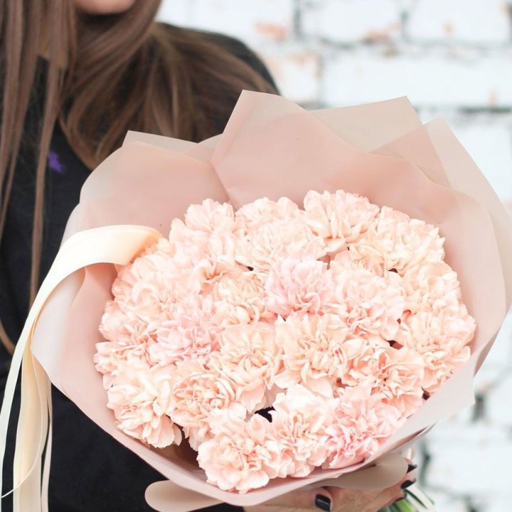 Диантусы №2 в Новороссийске