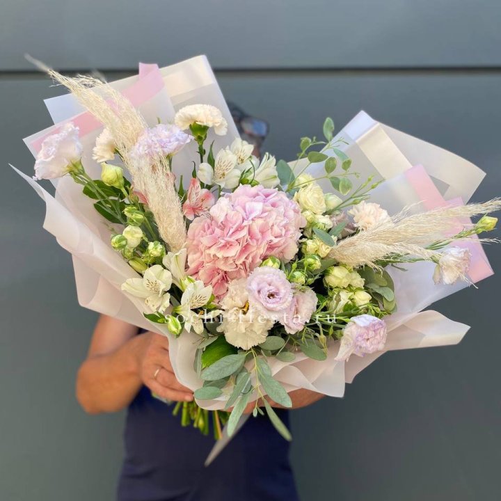 Гортензия "Пинк флоид" в Новороссийске