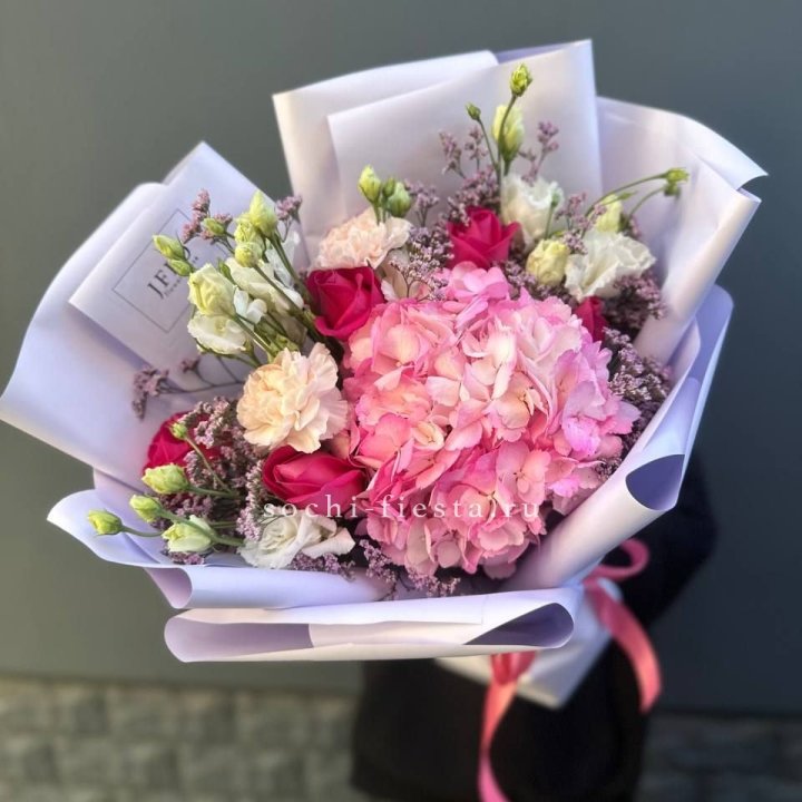 Гортензия "Перпил" в Новороссийске