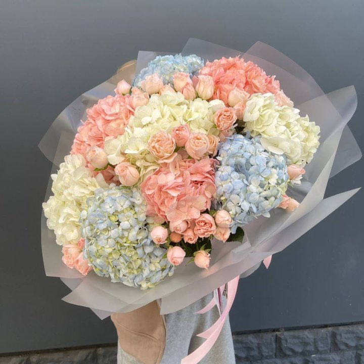 Дуо гортензии и бомбастик в Новороссийске