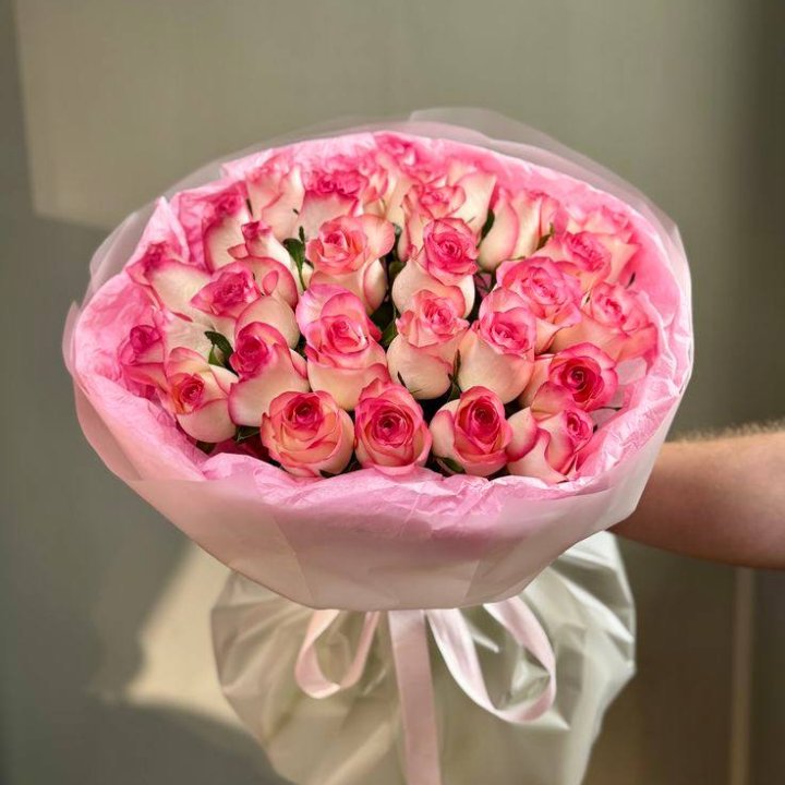 29 джумилий в Новороссийске