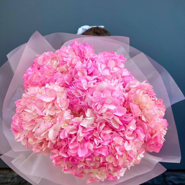 9 ярко розовых гортензий в Новороссийске