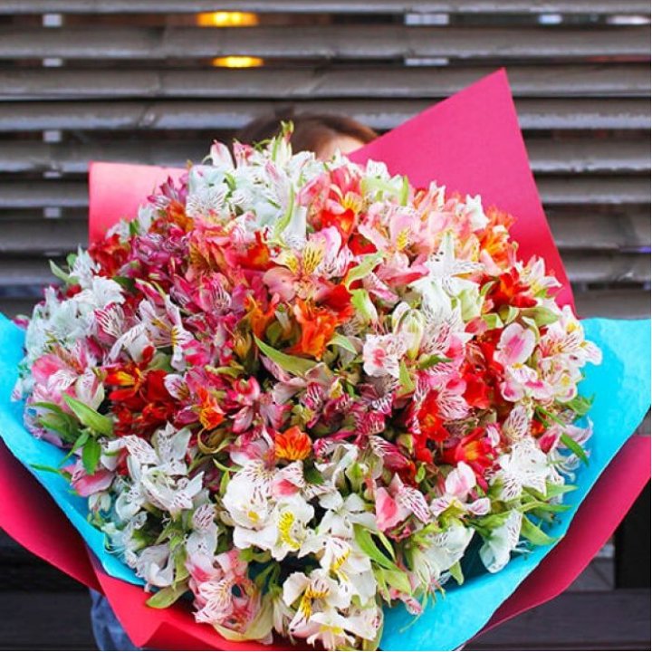 101 альстромерия в Новороссийске