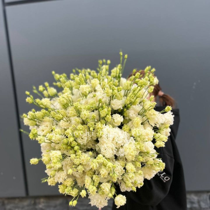 51 белая эустома в Новороссийске