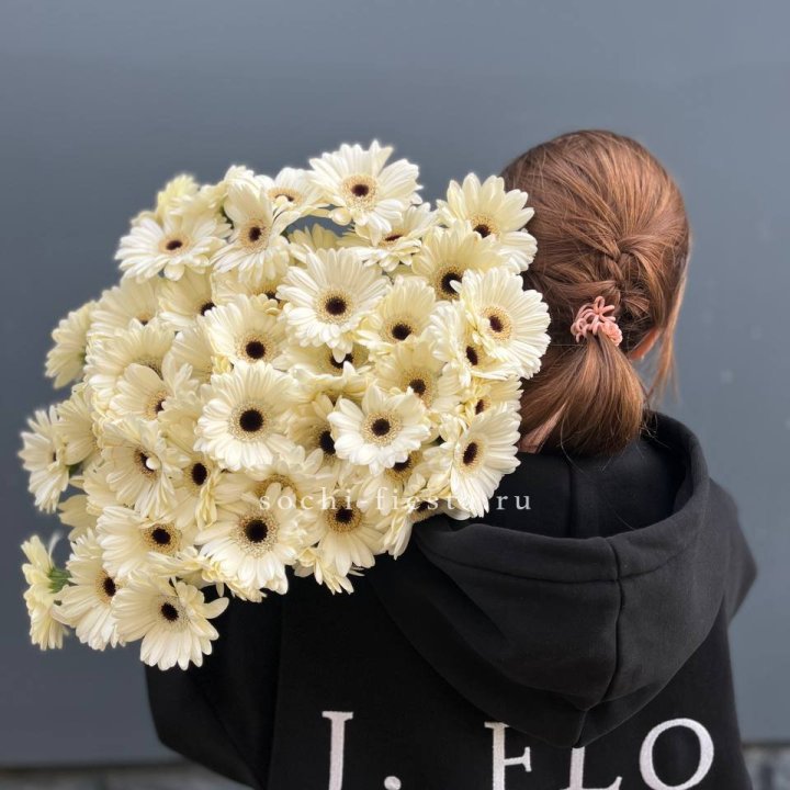 51 гербера в Новороссийске