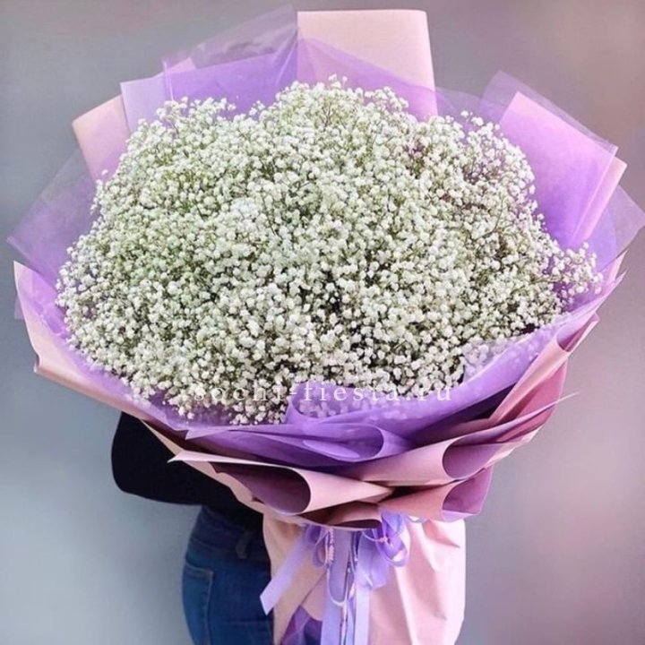 Облако белых гипсофил в Новороссийске