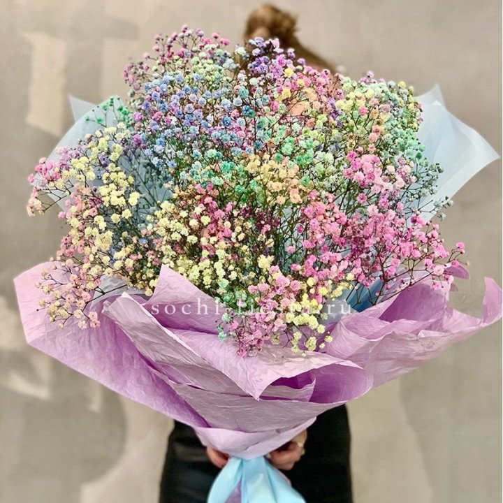 Радужные гипсофилы №2 в Новороссийске