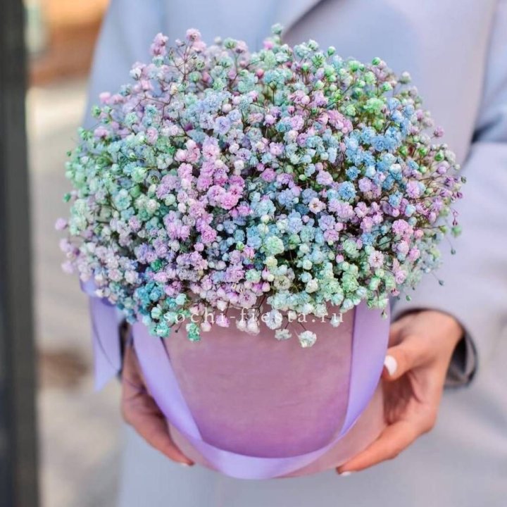 Гипсофилы в шляпной коробке "Кандилайт" в Новороссийске