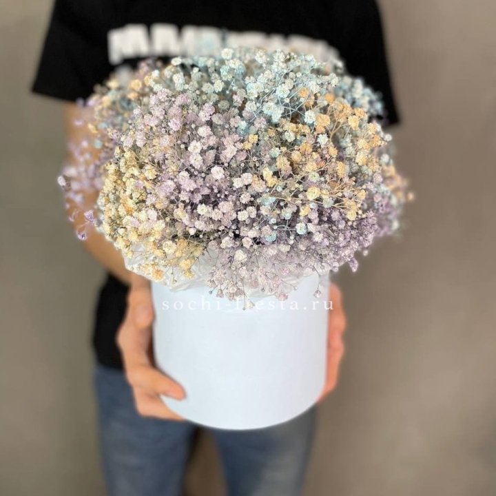 9 Радужных гипсофил в шляпной коробке в Новороссийске