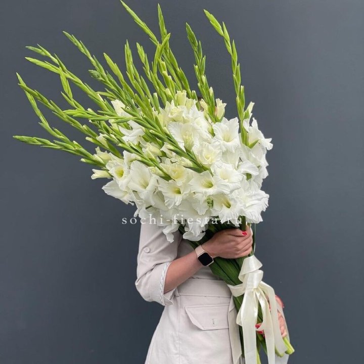 19 белых гладиолусов под ленту в Новороссийске