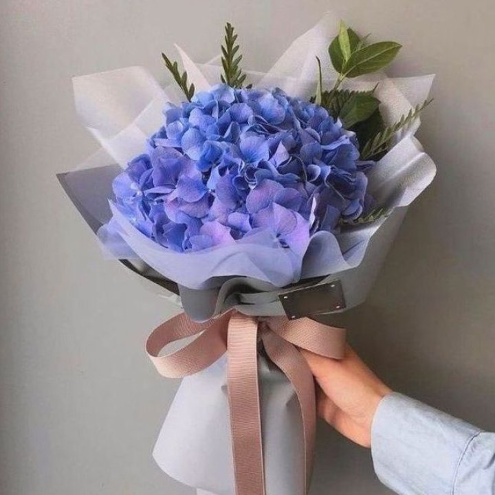 Гортензия голубая в Новороссийске