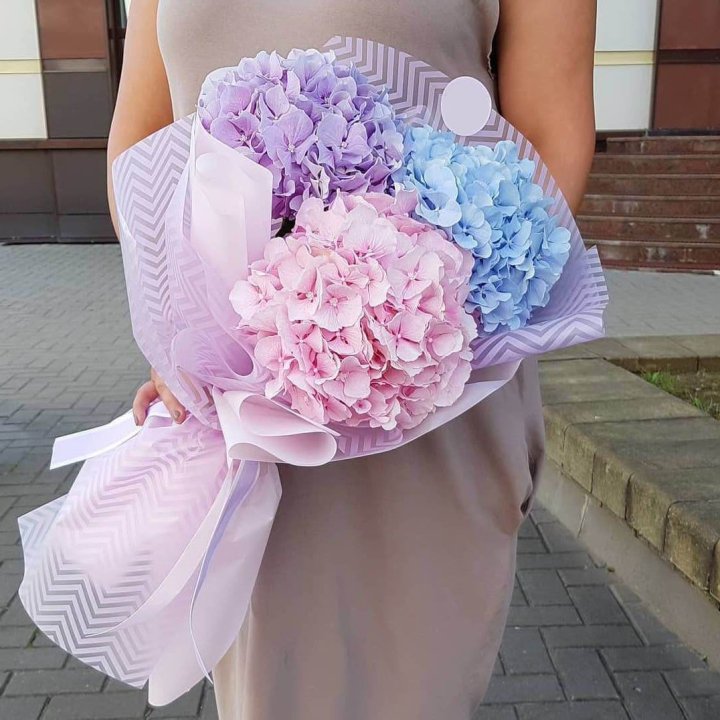 Букет гортензий "Пуф" в Новороссийске