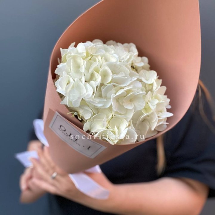 Гортензия в конверте в Новороссийске