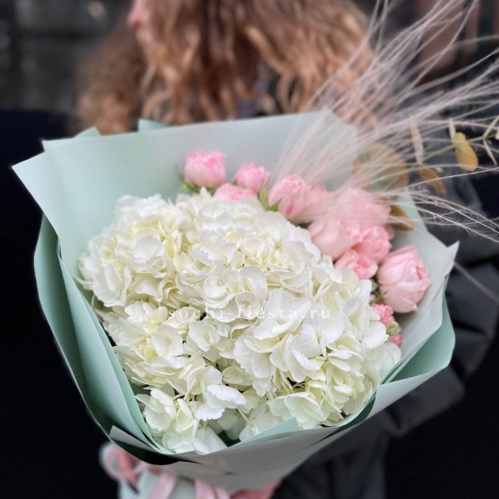 Гортензия "Жасмин" в Новороссийске