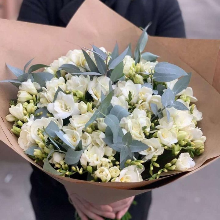 51 фрезия с эвкалиптом в Новороссийске