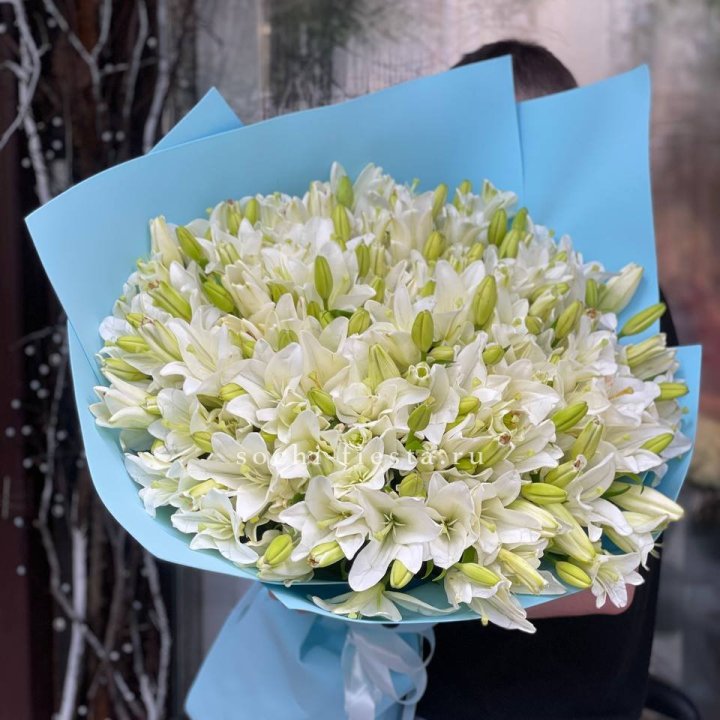 51 лилия в оформлении в Новороссийске