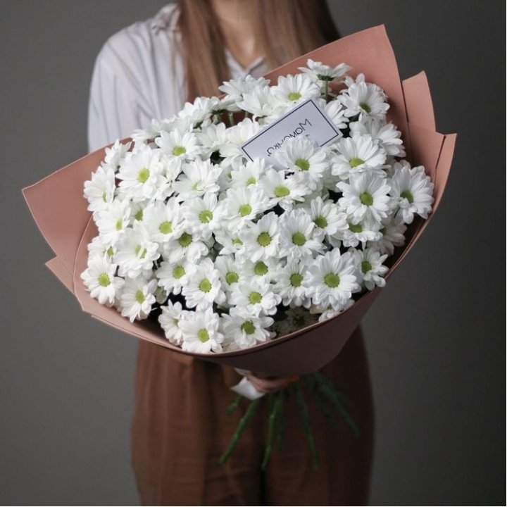 Хризантемы в крафте в Новороссийске