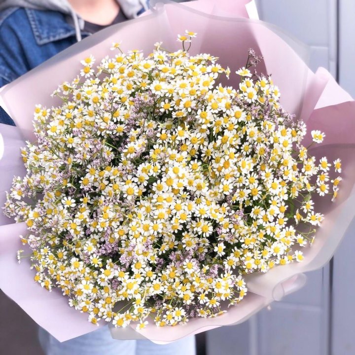 Букет ромашек №1 в Новороссийске
