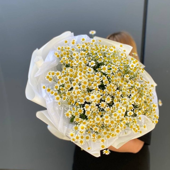 Букет ромашек "Фемели" в Новороссийске