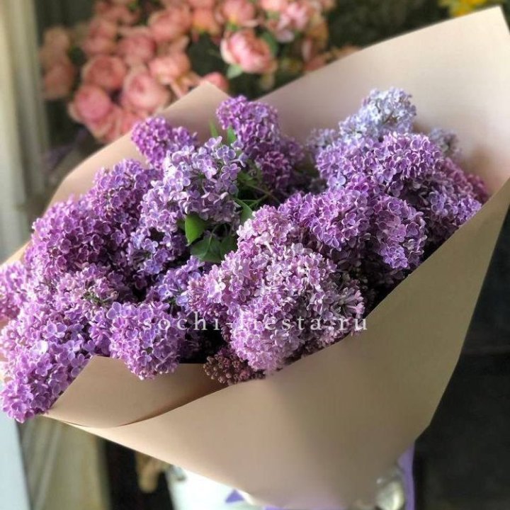 Букет сирени №2 в Новороссийске