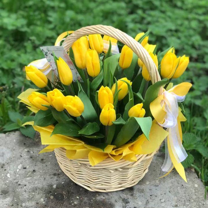 25 желтых тюльпанов в корзине в Новороссийске