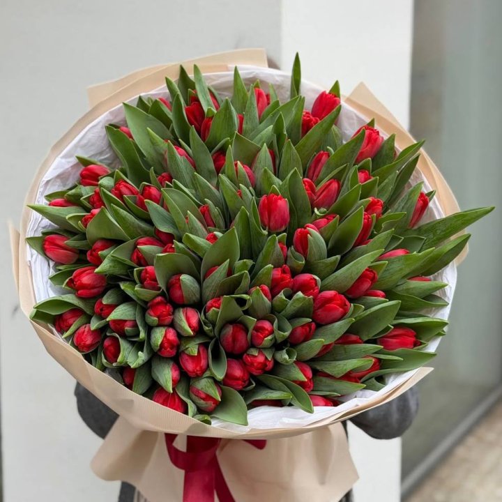 101 красный тюльпан в Новороссийске