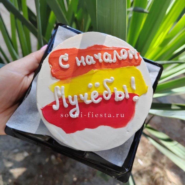 Бенто-торт "С началом учёбы"" в Новороссийске