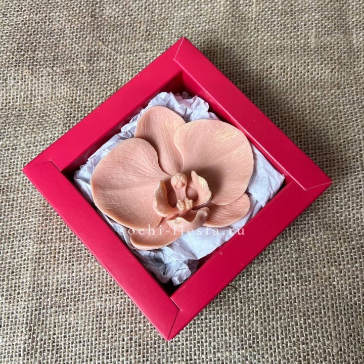 Бельгийский шоколад Орхидея в Новороссийске