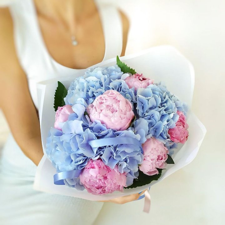 Гортензия и Пионы в Новороссийске