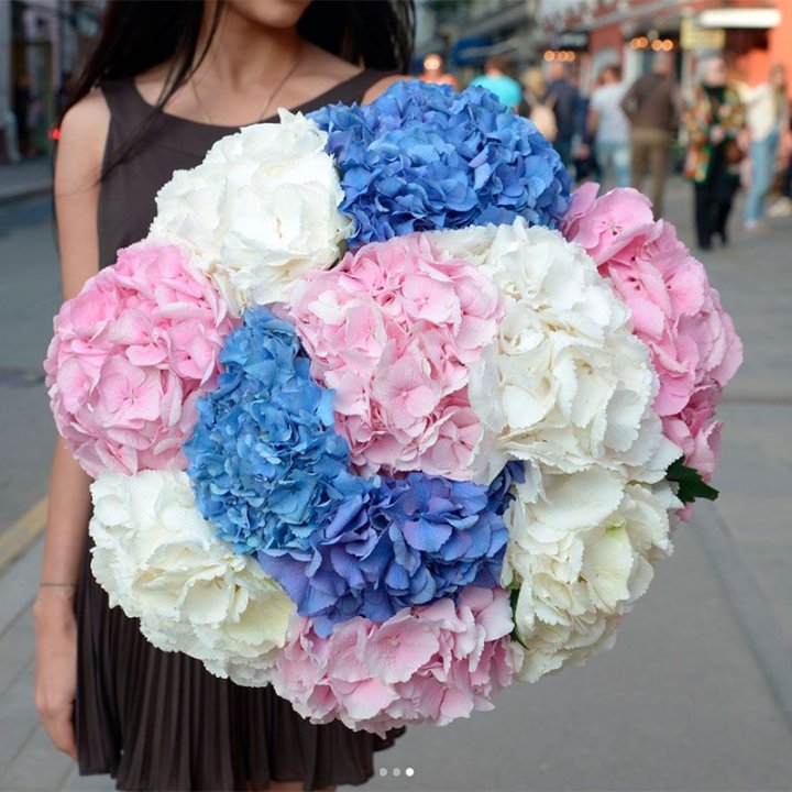 Букет гортензий "Инь-Янь" в Новороссийске