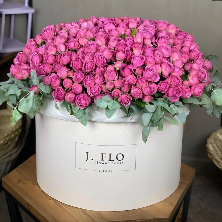 Цилиндр с Мисти Бабблс  в Новороссийске