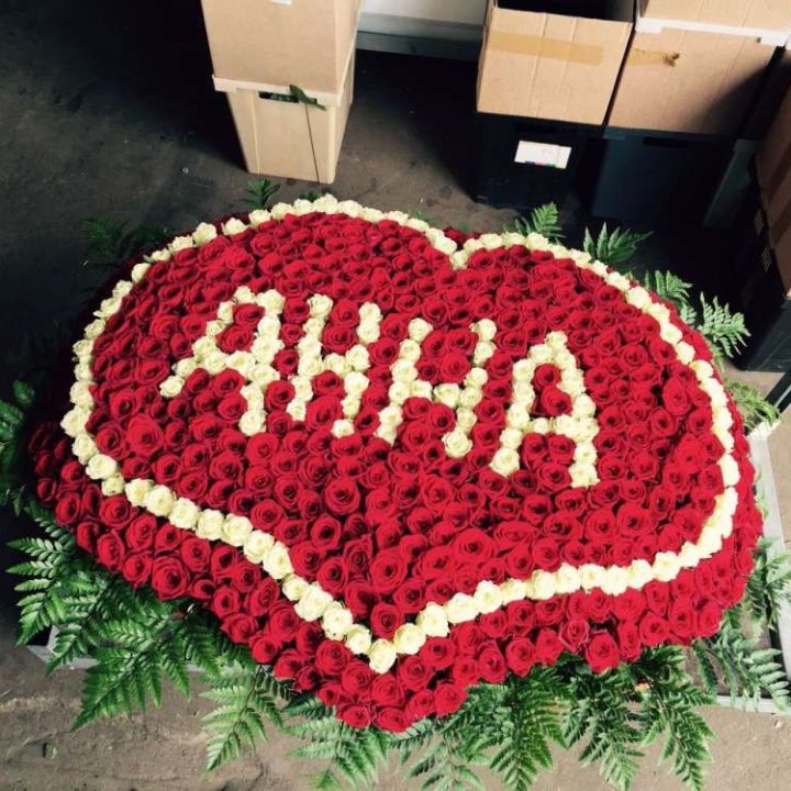 555 роз с именем в Новороссийске