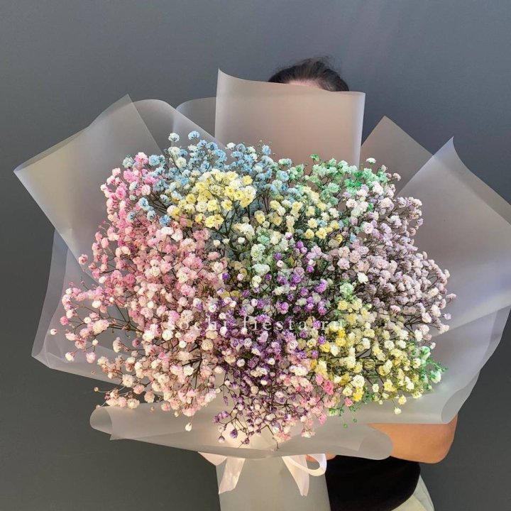 Радужные гипсофилы  в Новороссийске