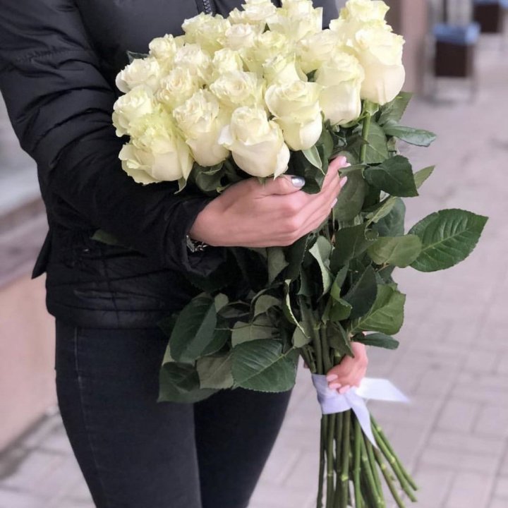 Голландские розы белые в Новороссийске