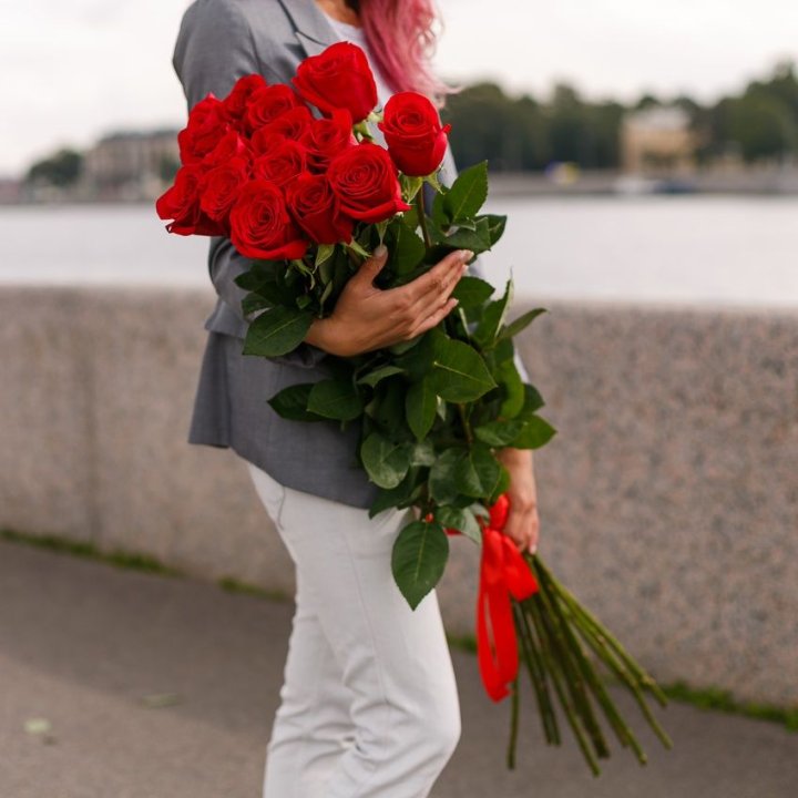 15 метровых голландских роз в Новороссийске