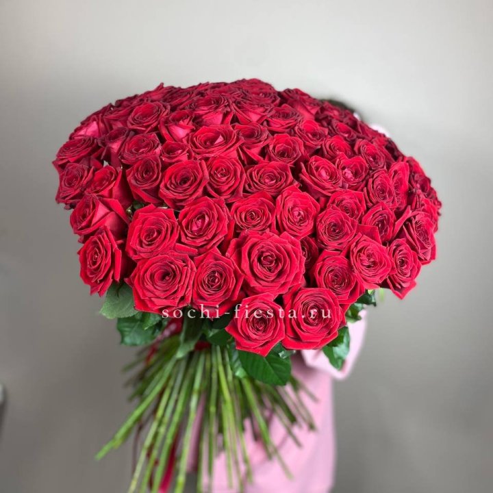 101  голландская роза  в Новороссийске