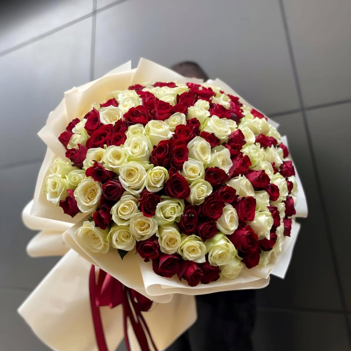 101 высокая импортная роза  в Новороссийске