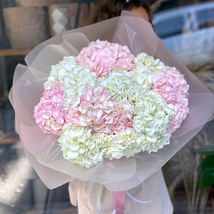 Букет гортензий № 3 в Новороссийске