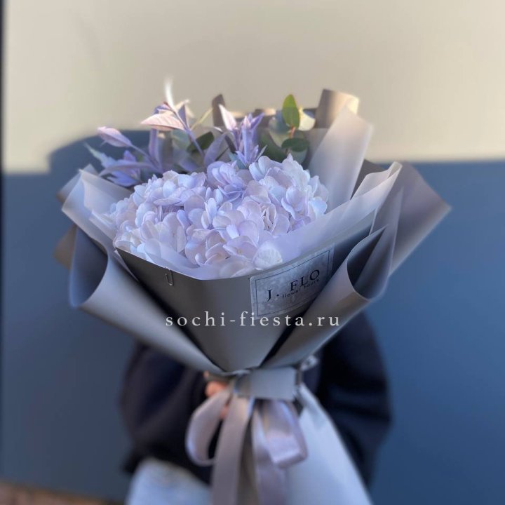 Гортензия "Виолета" в Новороссийске