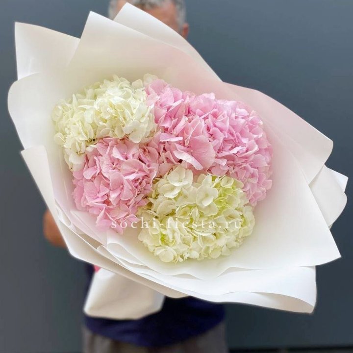 Букет гортензий №5 в Новороссийске
