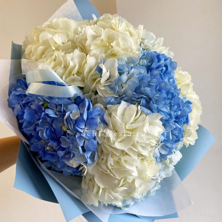 Букет гортензий "Голубая лаза" в Новороссийске