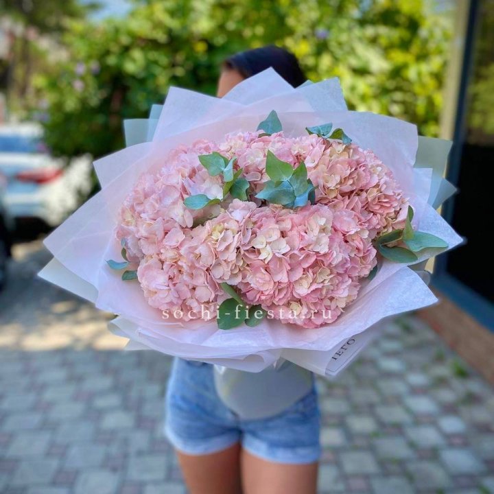 5 розовых гортензий  в Новороссийске