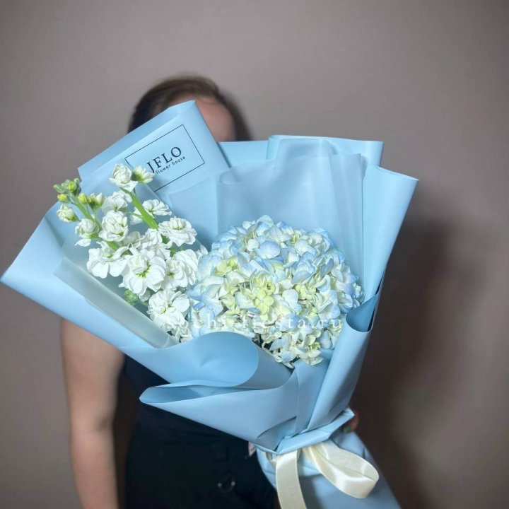 Гортензия голубая с маттиолой в Новороссийске